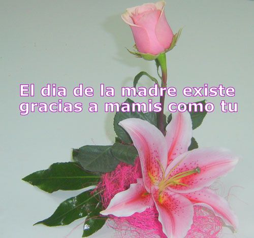 frases de amor para una madre